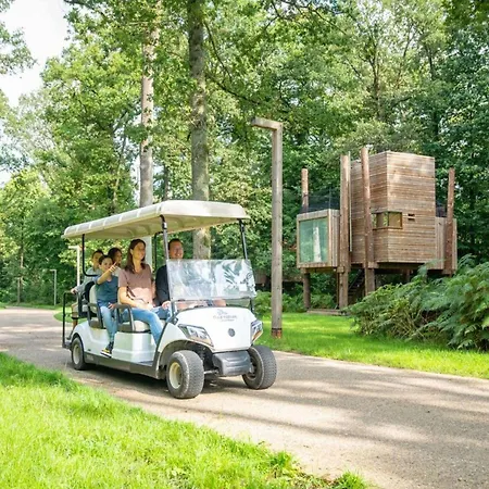 Cozy Forest Escape *